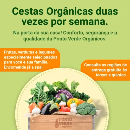 cestas orgânicas semanais ponto verde orgânicos